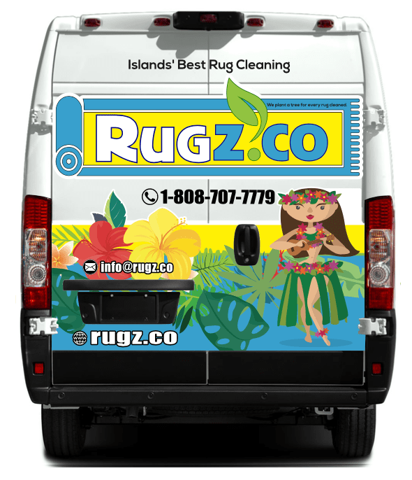 Rugz Delivery/Drop Off Service